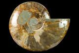 Wide Polished Fossil Ammonite Dish - Madagascar #137406-2